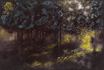 Pensieri sparsi alle radici degli alberi<br>