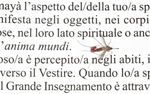 <b>Constantia signi (Anima mundi)</b>